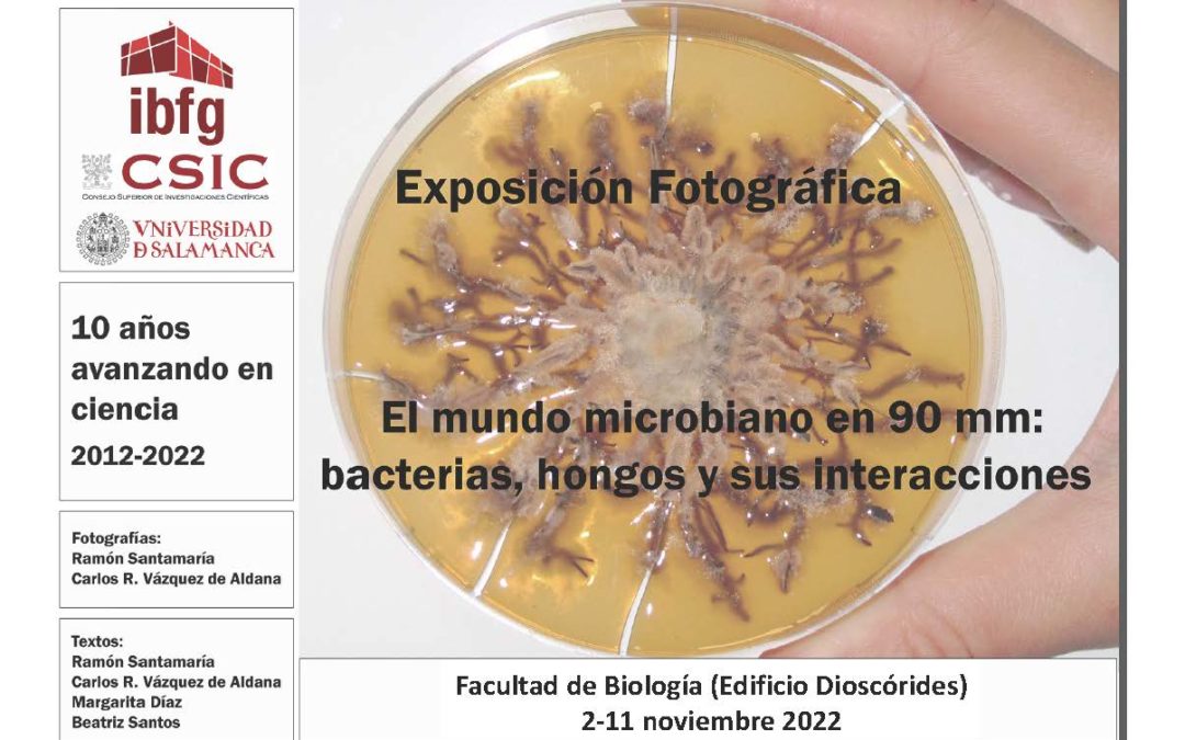 EXPOSICIÓN FOTOGRÁFICA «El mundo microbiano en 90 mm: bacterias, hongos y sus interacciones»