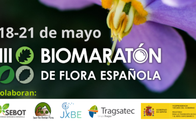 Tercera Edición del Biomaratón de Flora Española (BFE).